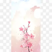三生三世十里桃花粉色花朵渐变背景素材