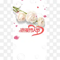 七夕情人节白玫瑰创意促销海报H5背景下载