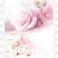 粉色玫瑰高清底图