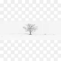 简约素描白雪枯树背景