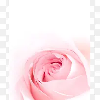 浪漫粉色花朵背景