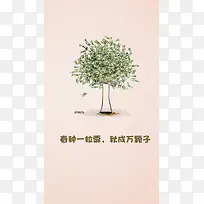 理财简约粉色H5背景素材