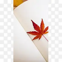 简约书中的枫叶H5背景