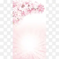 粉色梦幻花瓣商业PSD分层H5背景素材