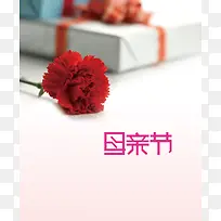 母亲节康乃馨节日海报背景