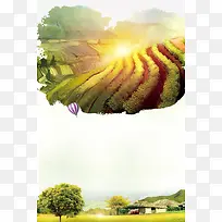 手绘三农政策海报