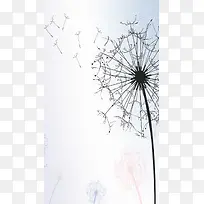 手绘文艺蒲公英H5背景素材