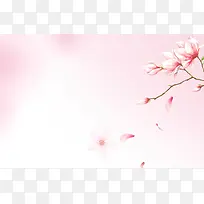 唯美粉色花朵海报背景模板