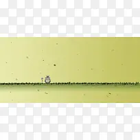 卡通背景