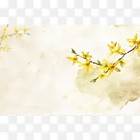 手绘黄色迎春花背景
