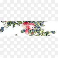 工笔苹果树淘宝网站背景图