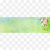 彩铅花卉手绘背景