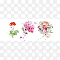 水彩花卉素材