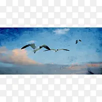 手绘油画蓝天白云海鸥背景