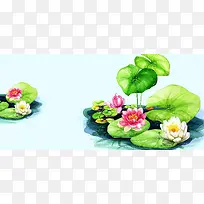 手绘荷花背景