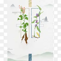 世界传统医药日手绘插画