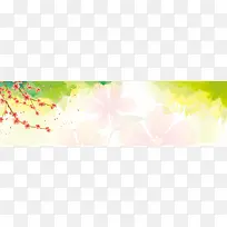 清新花朵背景