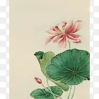 中国风荷花水墨画画册邀请函水彩背景素材