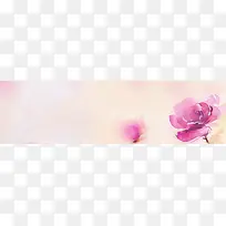 淘宝 banner