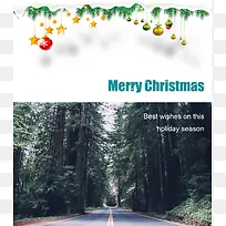 道路圣诞树木背景材料