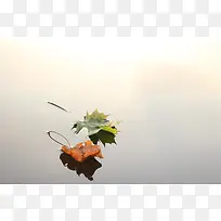 水面上的落叶海报背景图