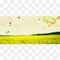 油菜花大气田野蝴蝶黄色banner