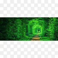 绿色隧道