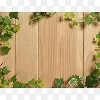 蔓藤木板背景图