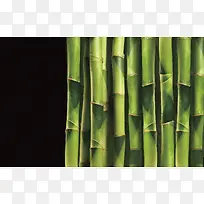 绿色竹子质感背景