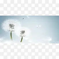 蓝色小清新天空背景banner