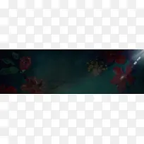 玫瑰底纹背景banner