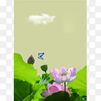 荷花丽人美图集锦