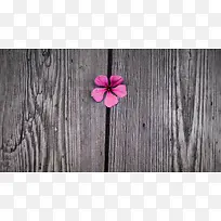 木质纹理粉色花朵海报背景素材