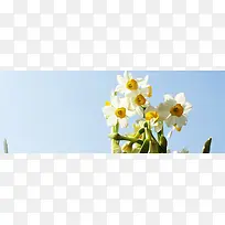 天猫 淘宝 banner 背景