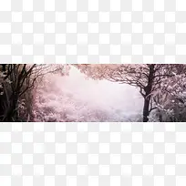 唯美浪漫雪景