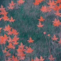 复古纹理秋季枫叶背景素材