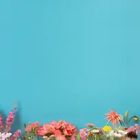 花朵纹理背景