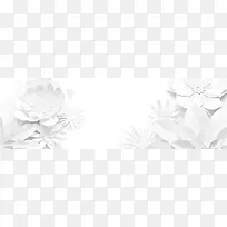 白色花朵纹理质感图