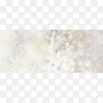 白色 花纹 花朵 造型 米白
