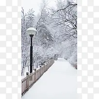 冬天白色冰雪道路H5背景