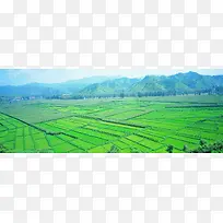 清新乡村田园摄影背景