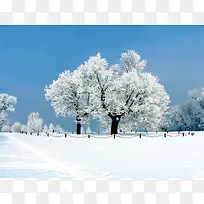 寒冷冬天里的雾凇影楼摄影背景图片