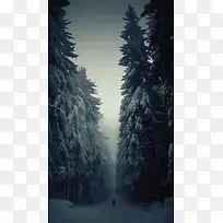 库网-恐怖森林独自走在雪路上背影大树海报