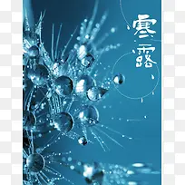 唯美露水微信配图寒露节气海报背景psd