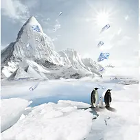 冬季南极海报