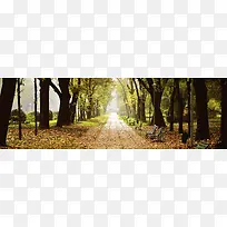 公园小路背景