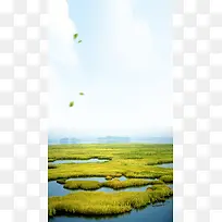 湿地保护日宣传海报背景