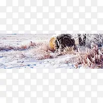 冬季雪地背景