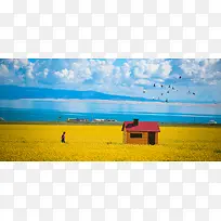 油菜花文艺油画大气蓝天白云banner