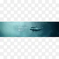唯美海底鲸鱼banner